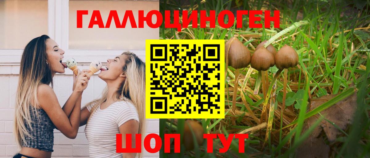 Обь  Галлюциногенные грибы прущие грибы  Вход с VPN 